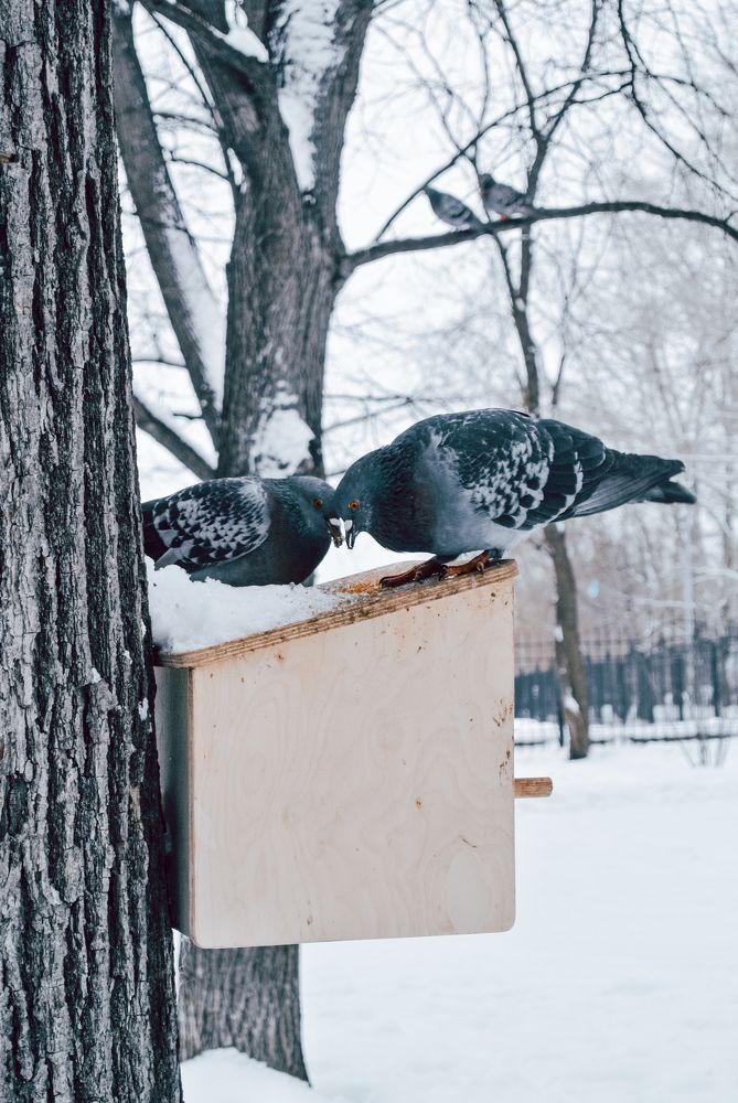 Photograph by Irina Kolotova