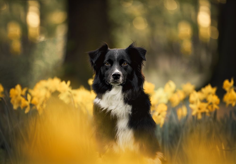 Photograph by Monika Maciejewska