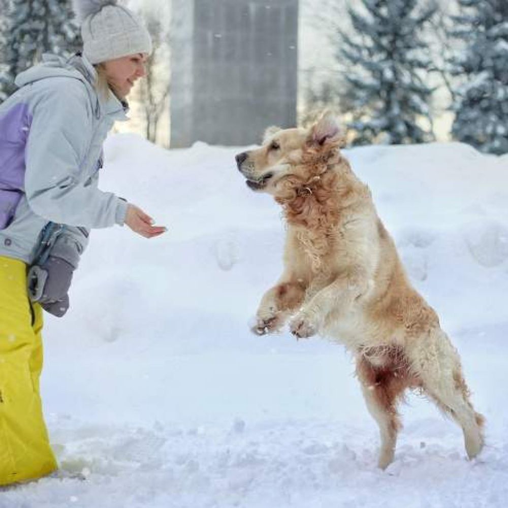 Photograph by Алсу Хусаинова