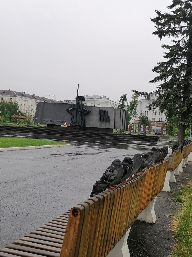 Photograph by Татьяна Бешенкина