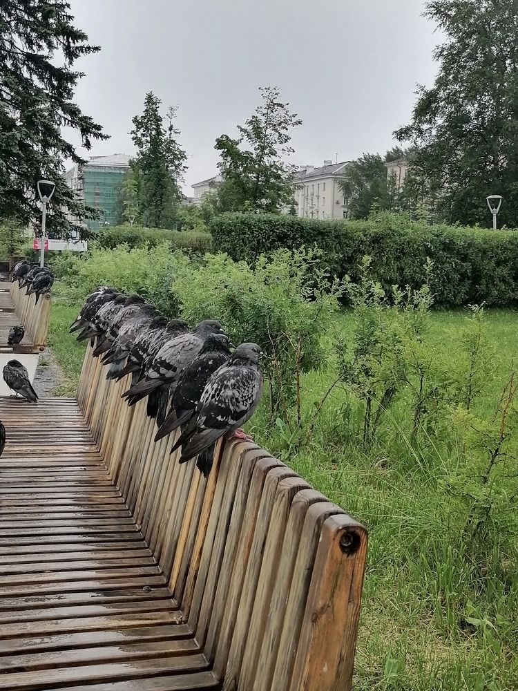 Photograph by Татьяна Бешенкина