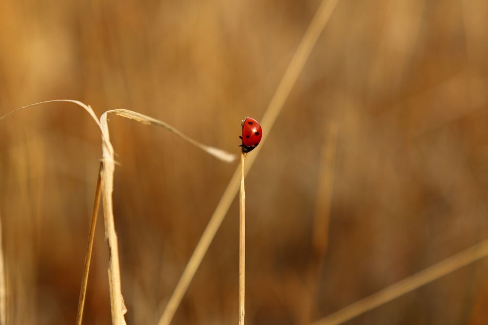 Photograph by 