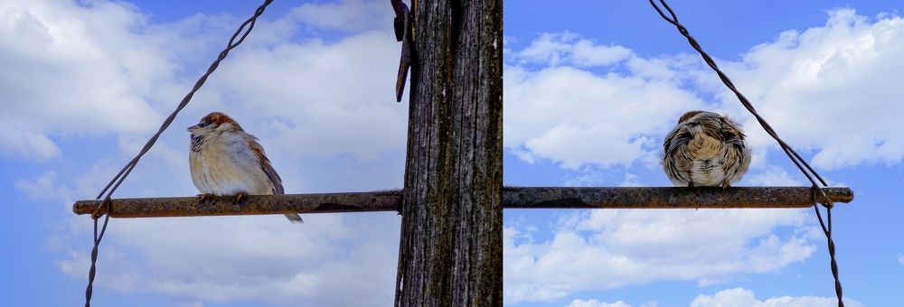 Photograph by Иван Труфанов