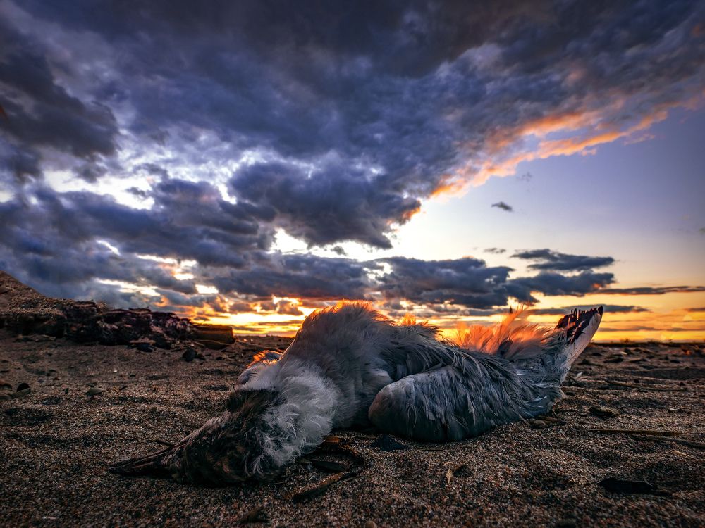 Photograph by Иван Труфанов