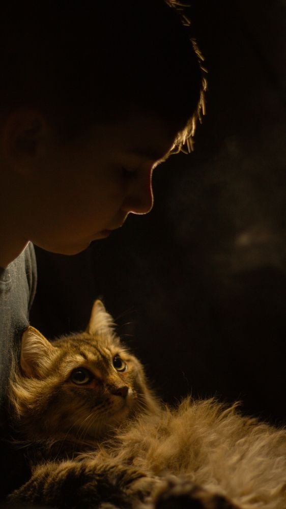 Photograph by Ольга Денисова