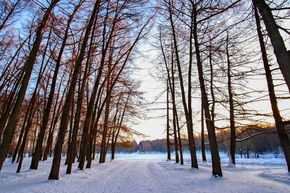 Photograph by Александр Малышев
