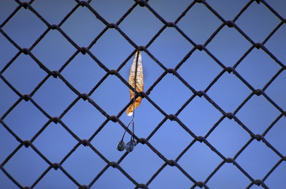 Photograph by Анатолий Святой