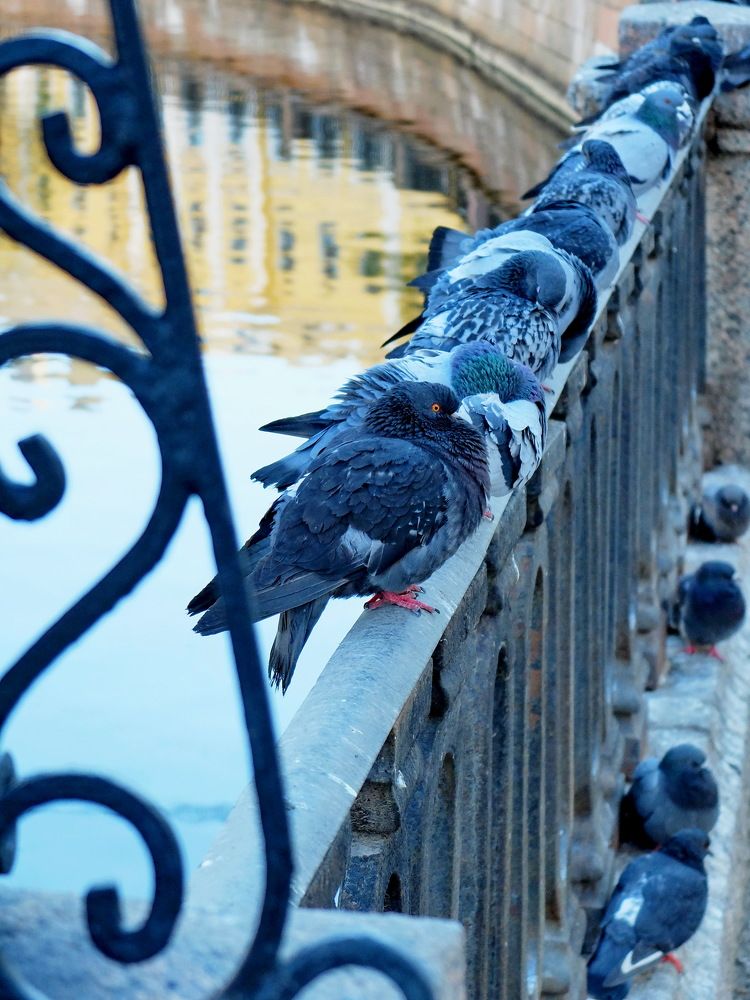 Photograph by Margarita Malikova