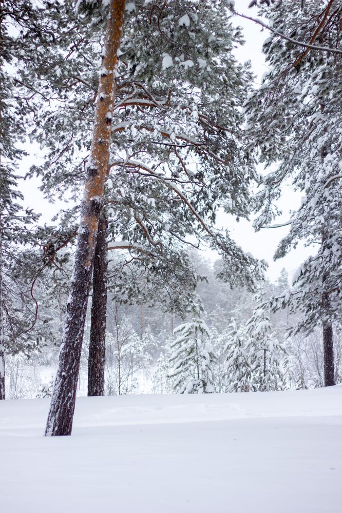 Photograph by Ольга Денисова