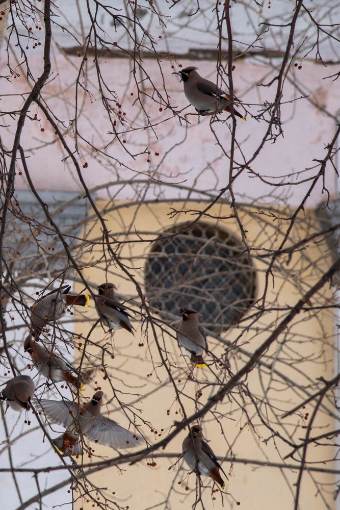 Photograph by Екатерина Осколкова