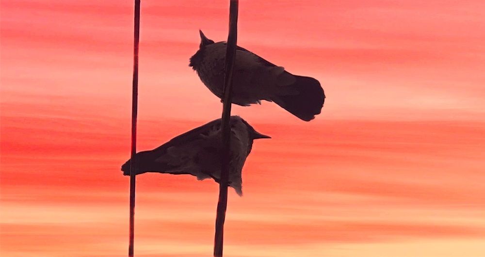 Photograph by Оксана Бессчетнова