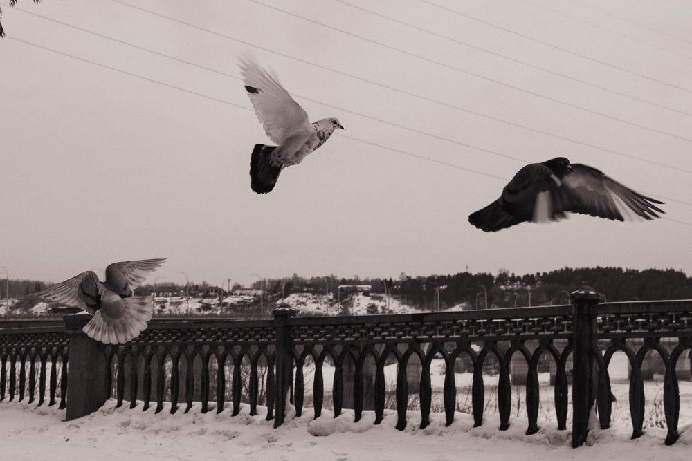 Photograph by Екатерина Осколкова