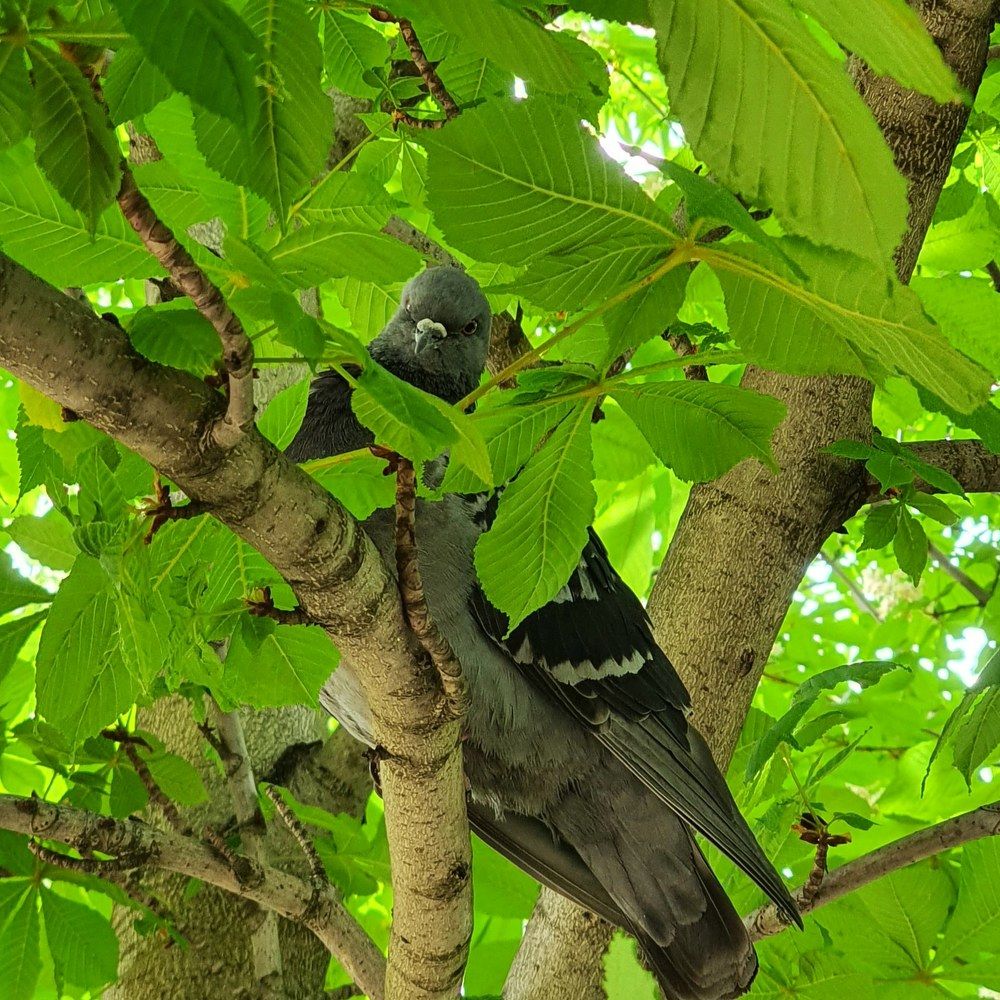 Photograph by Оксана Бессчетнова