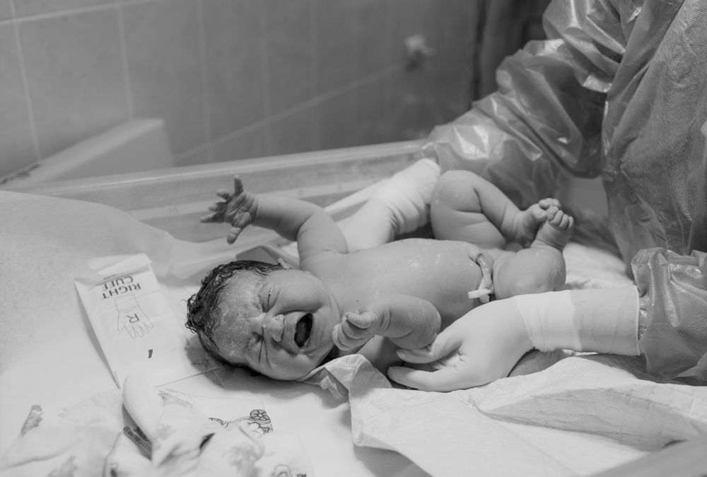 Фотография автора Алена Бережная