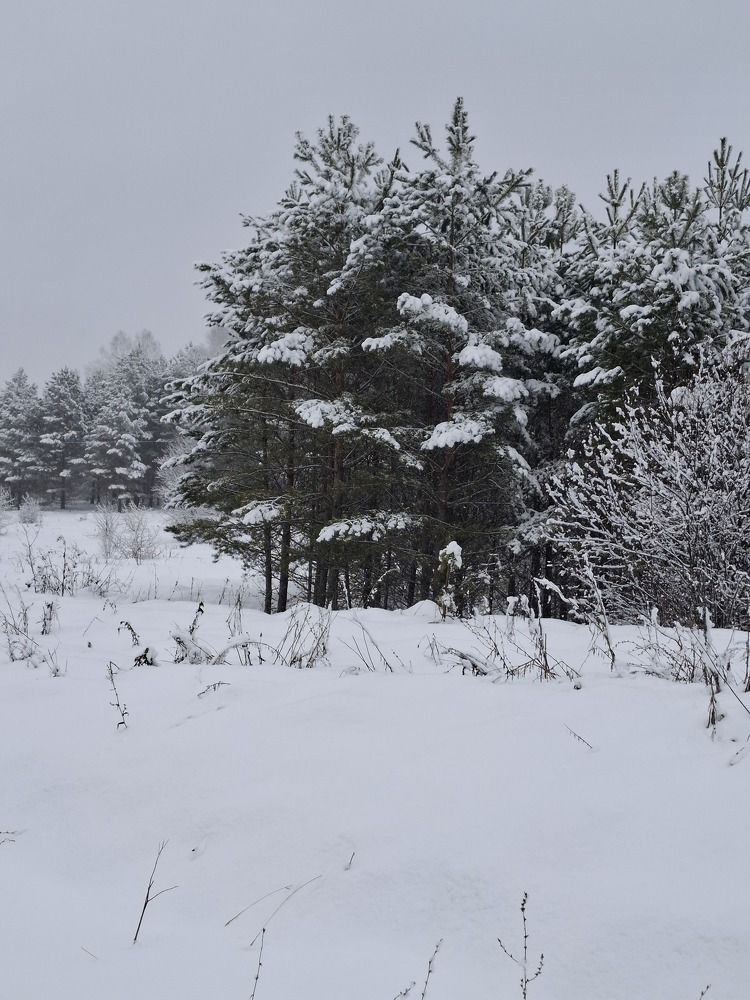 Photograph by Катерина Солдатова