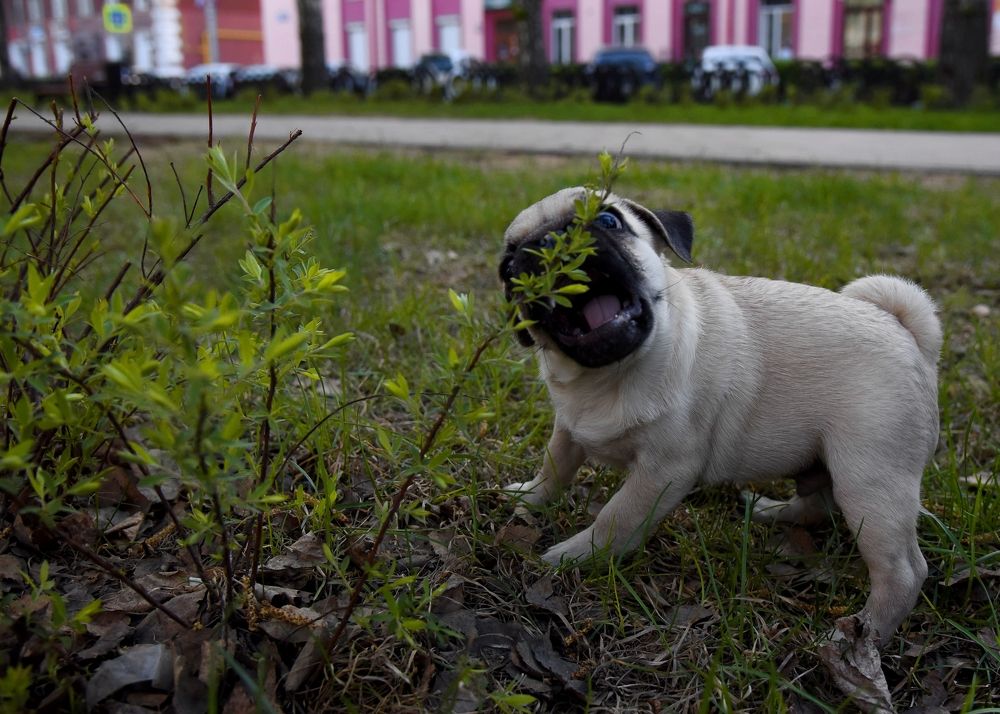 Photograph by Екатерина Осколкова