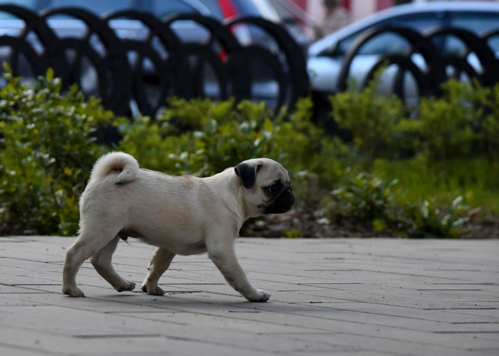 Photograph by Екатерина Осколкова