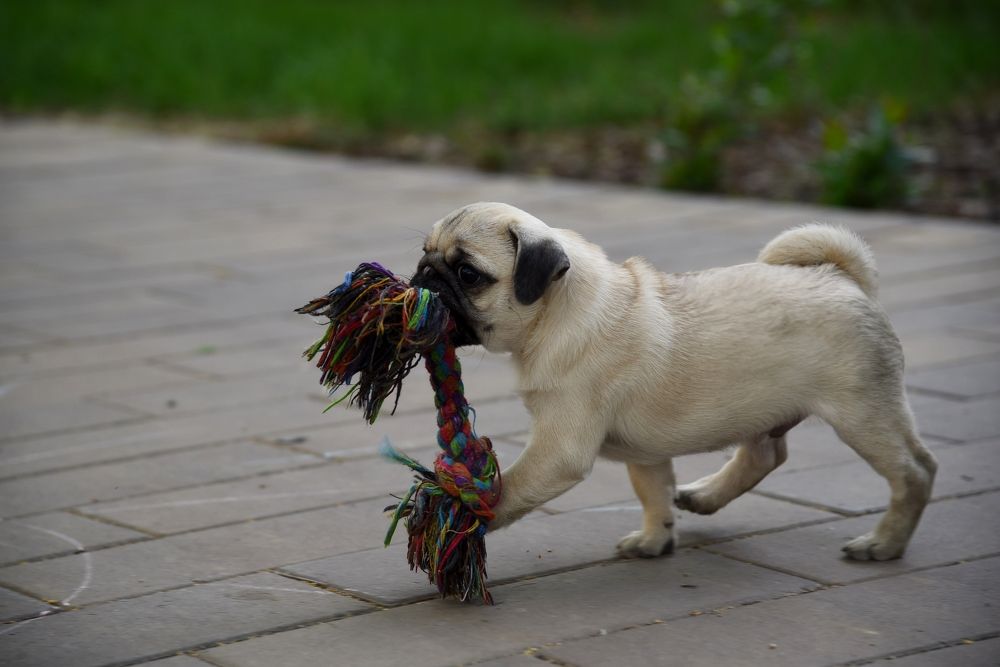 Photograph by Екатерина Осколкова