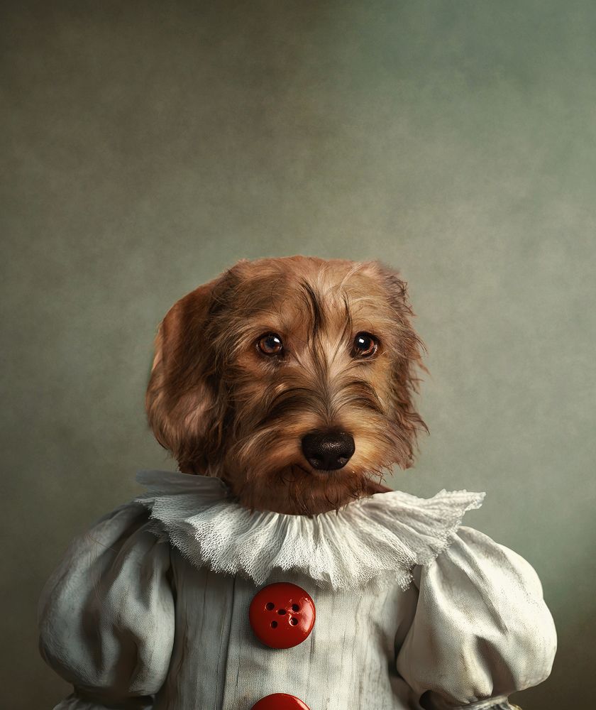 Фотография автора Erika G Robledo