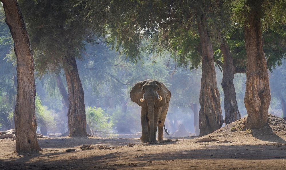 Photograph by Turgay Uzer