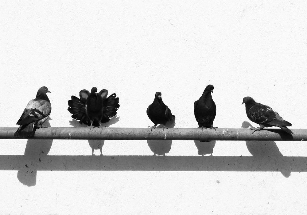 Photograph by Анна Ландграфская