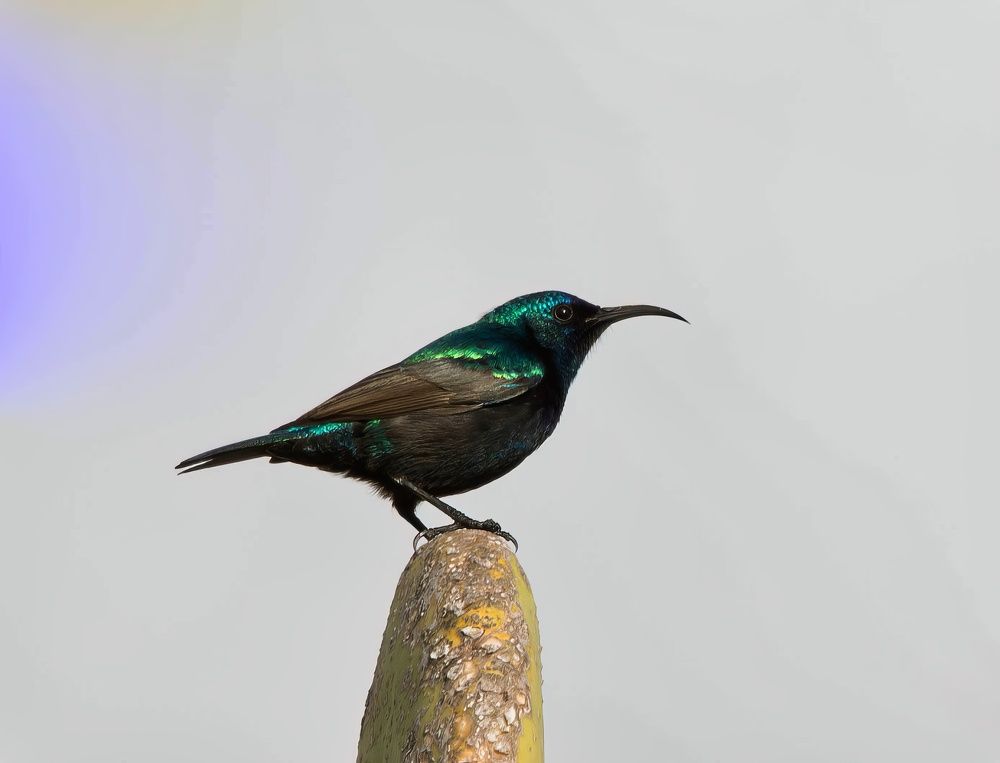 Photograph by Vladimir Bragilevsky