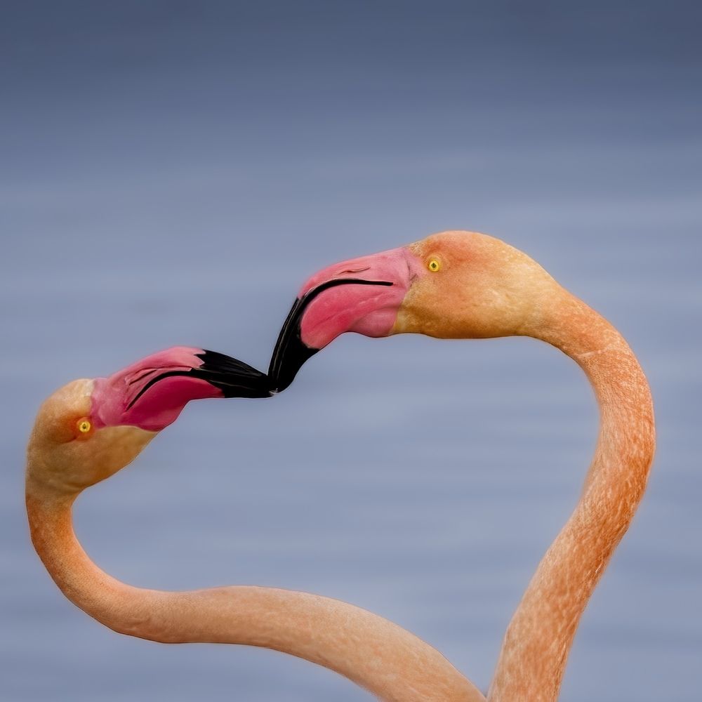 Photograph by Turgay Uzer