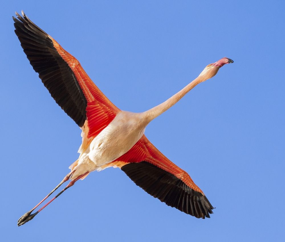 Photograph by Turgay Uzer