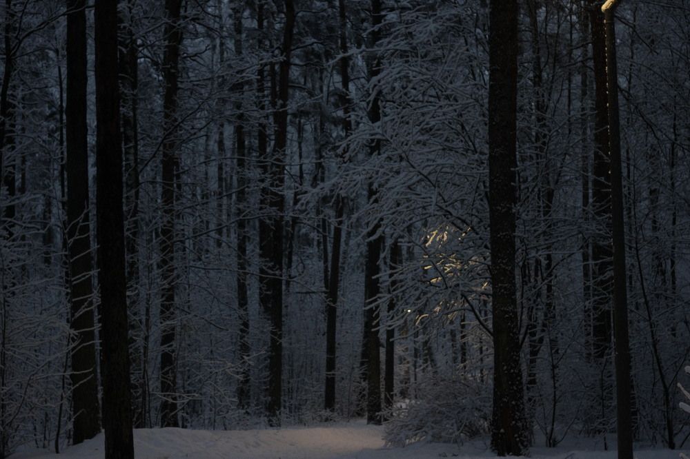 Photograph by Регина Романова