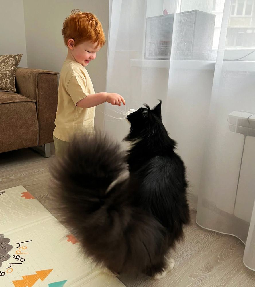 Photograph by Владимир Безбородов