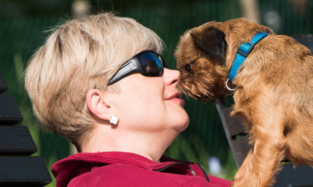 Photograph by Владимир Безбородов