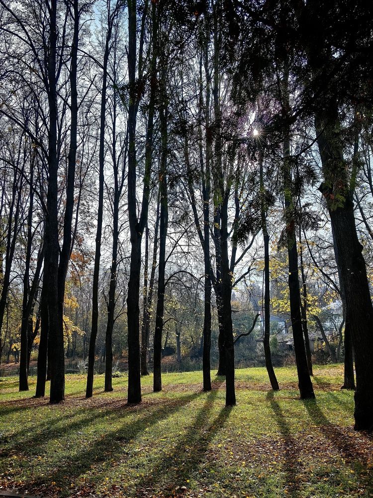 Photograph by Марина Побережная