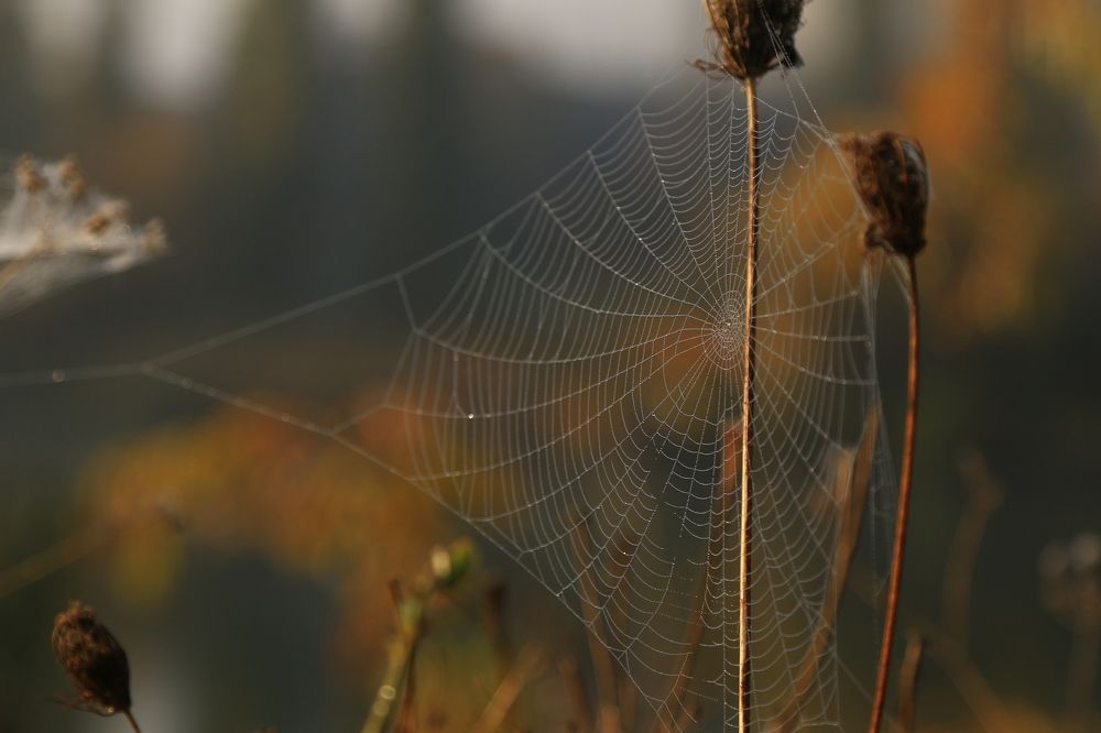 Фотография автора Сергей Кульков