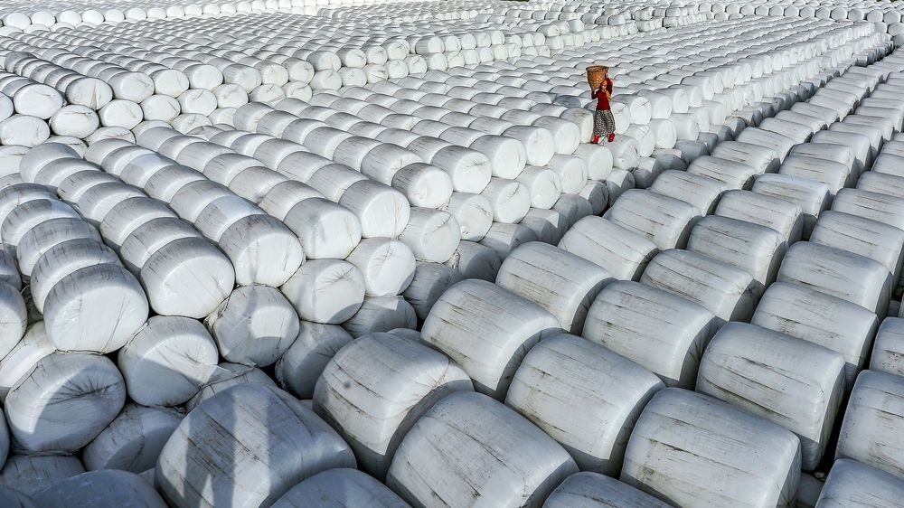 Photograph by Orhan Bektaş