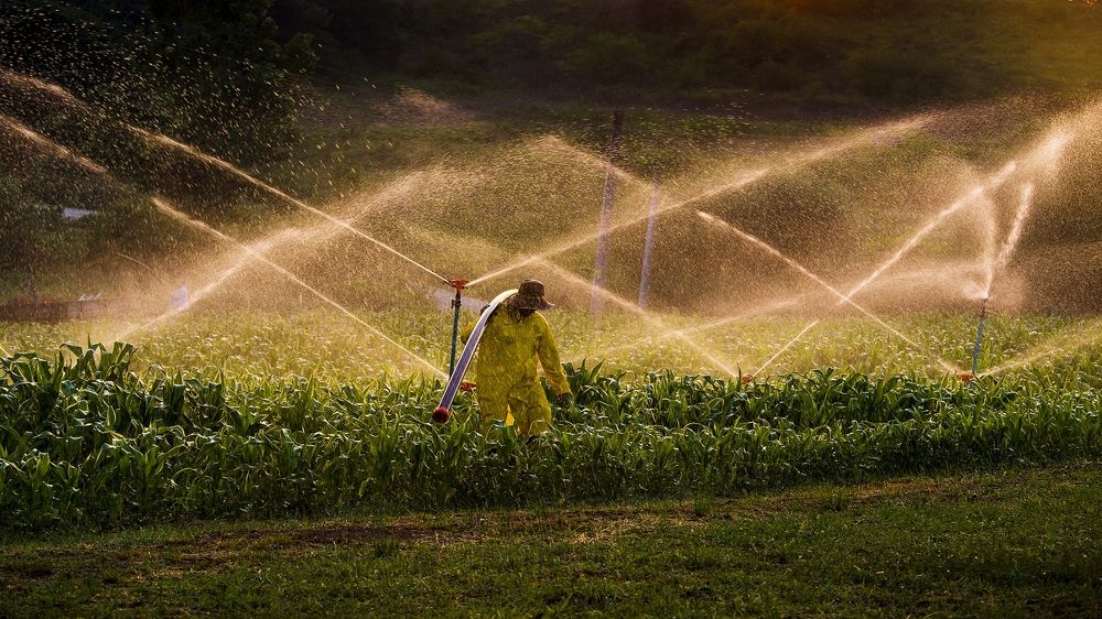 Фотография автора Orhan Bektaş