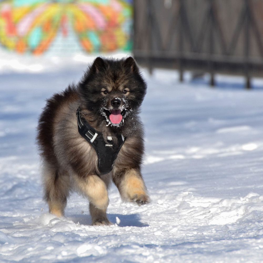 Photograph by Максим