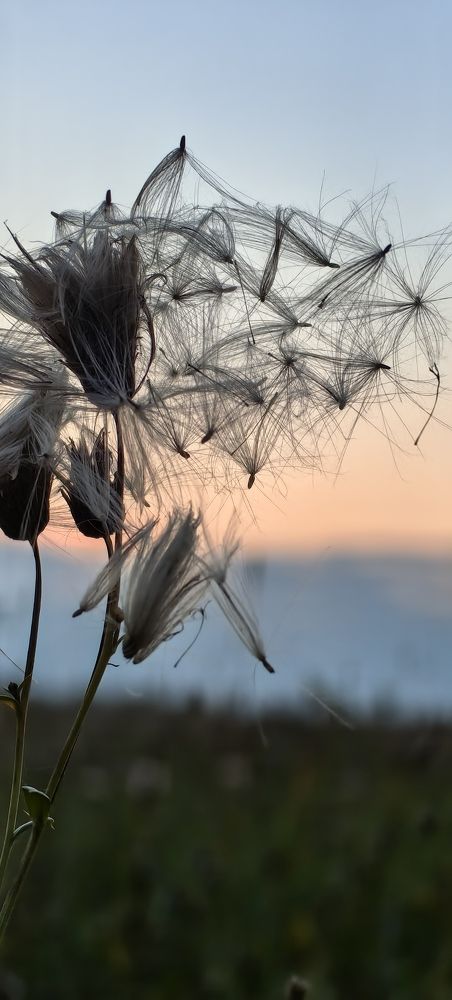Фотография автора Елена Маслова