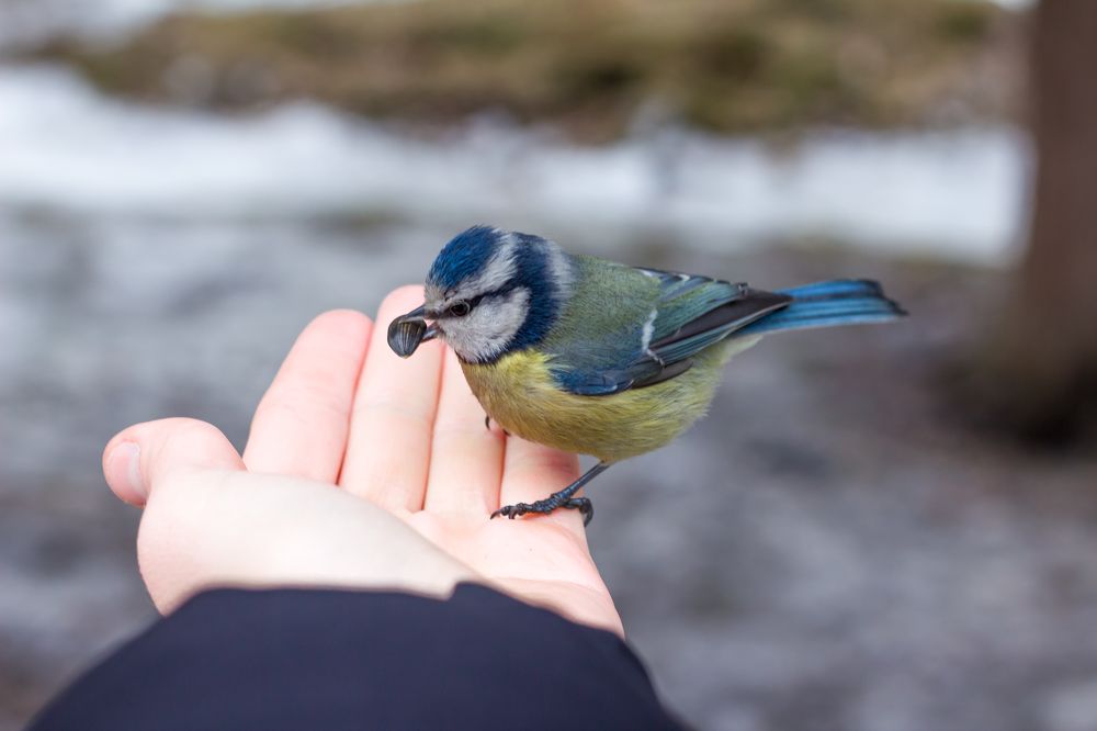 Фотография автора Таисия