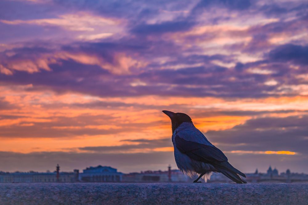 Фотография автора Таисия