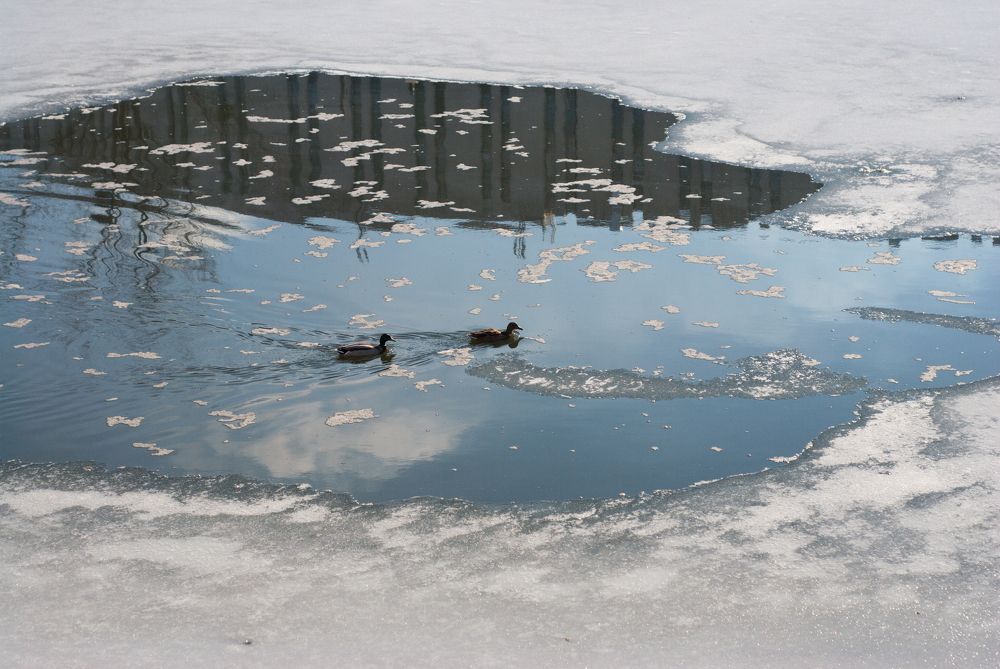 Photograph by Валентина Михайлова