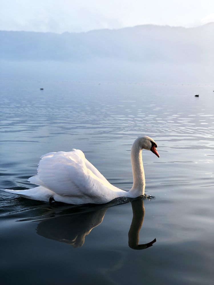 Photograph by Екатерина Жарская