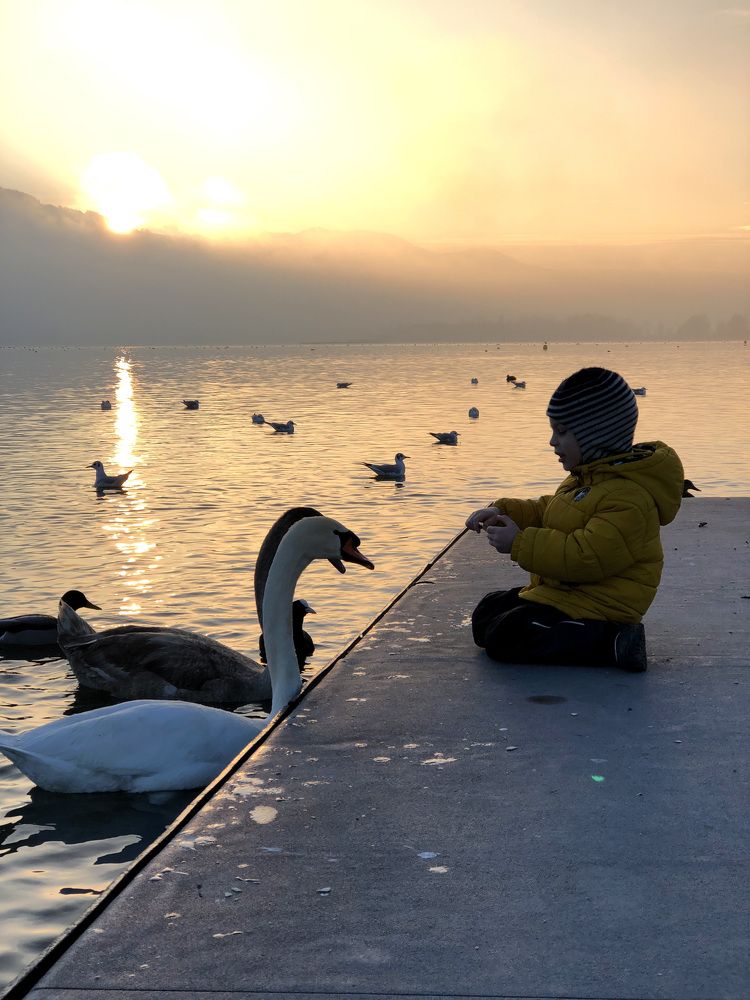 Photograph by Екатерина Жарская