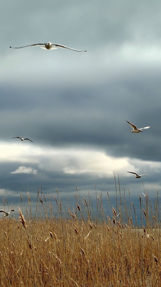 Photograph by Максим Сундеев