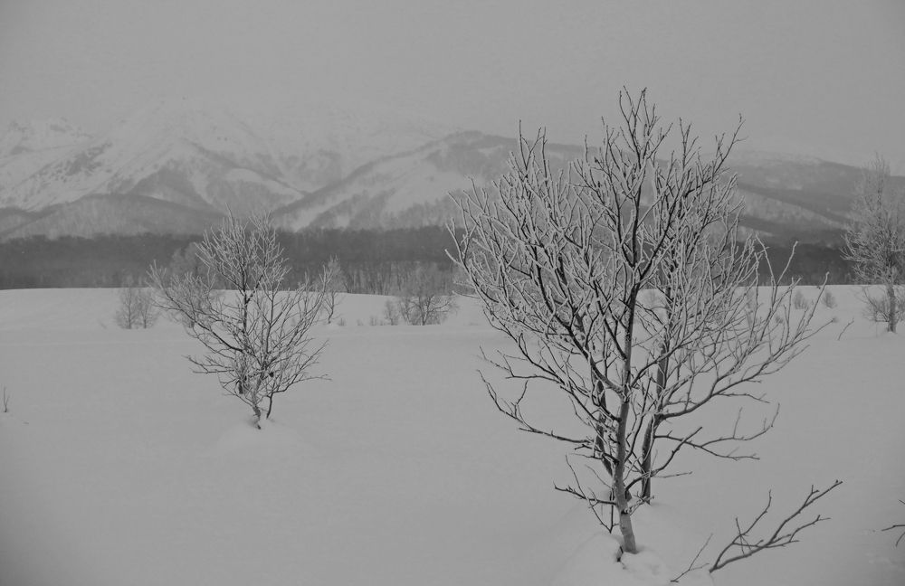 Photograph by Любовь Короткина