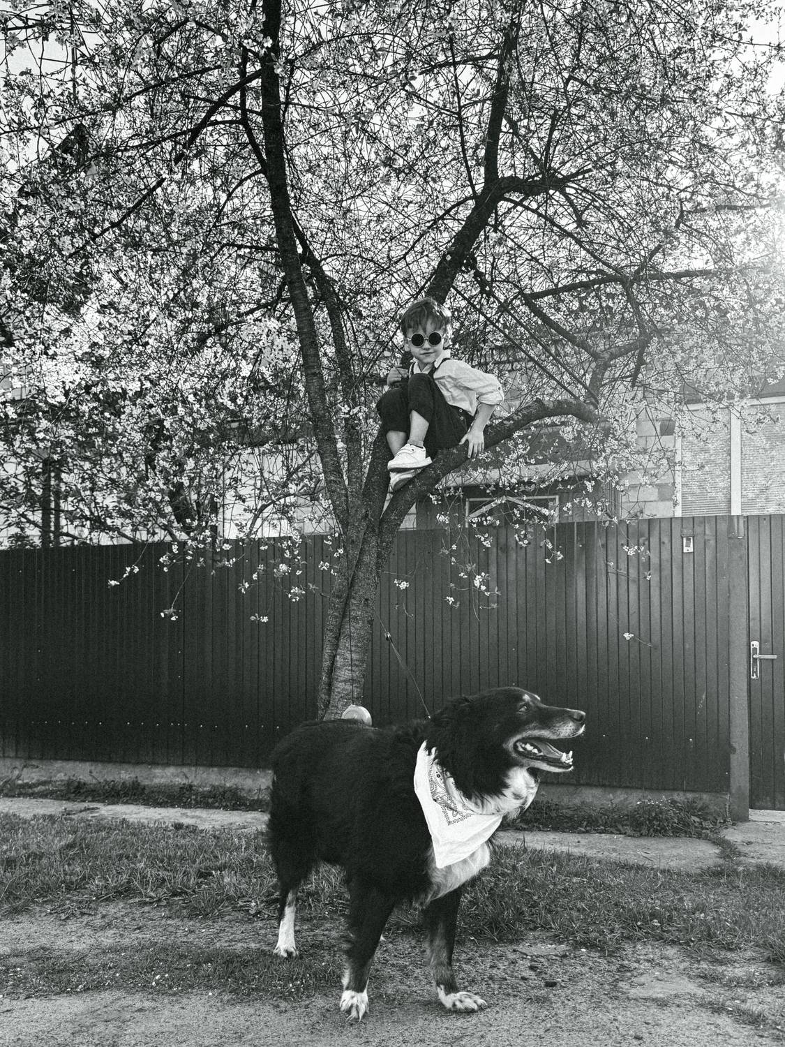 Photo #11764361