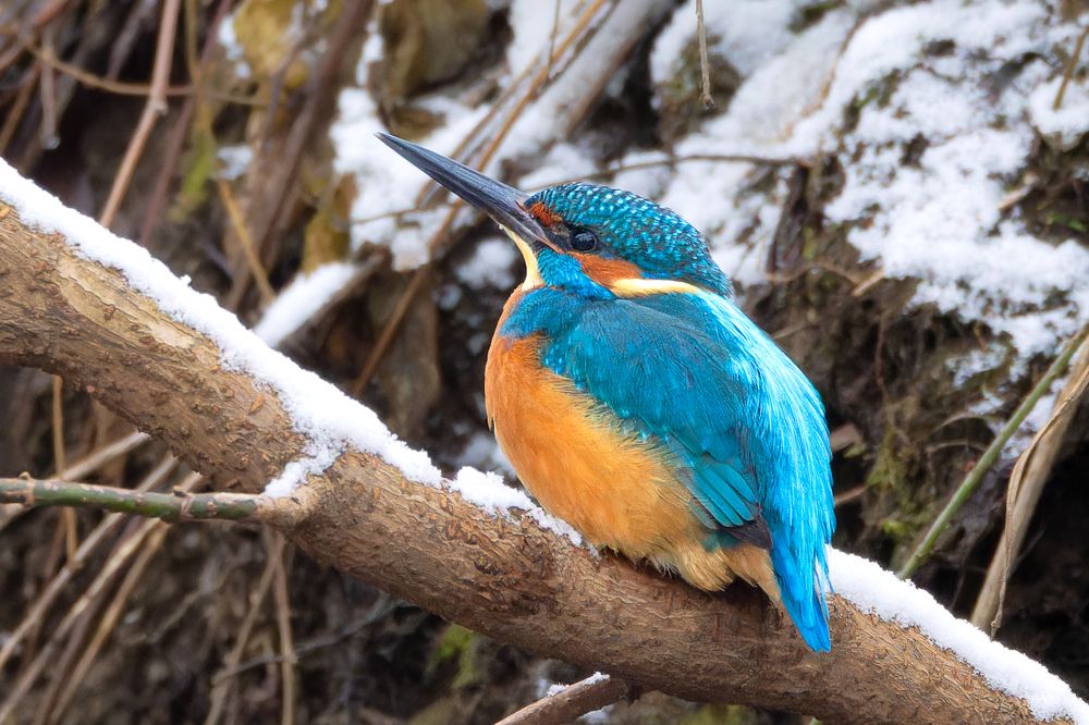 Photograph by Вера Машина