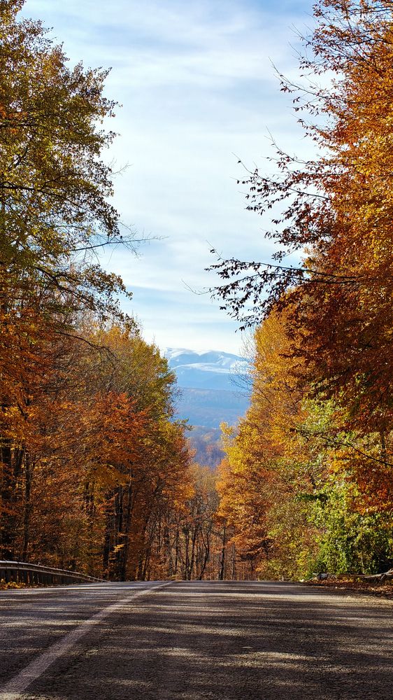 Photograph by Максим Сундеев