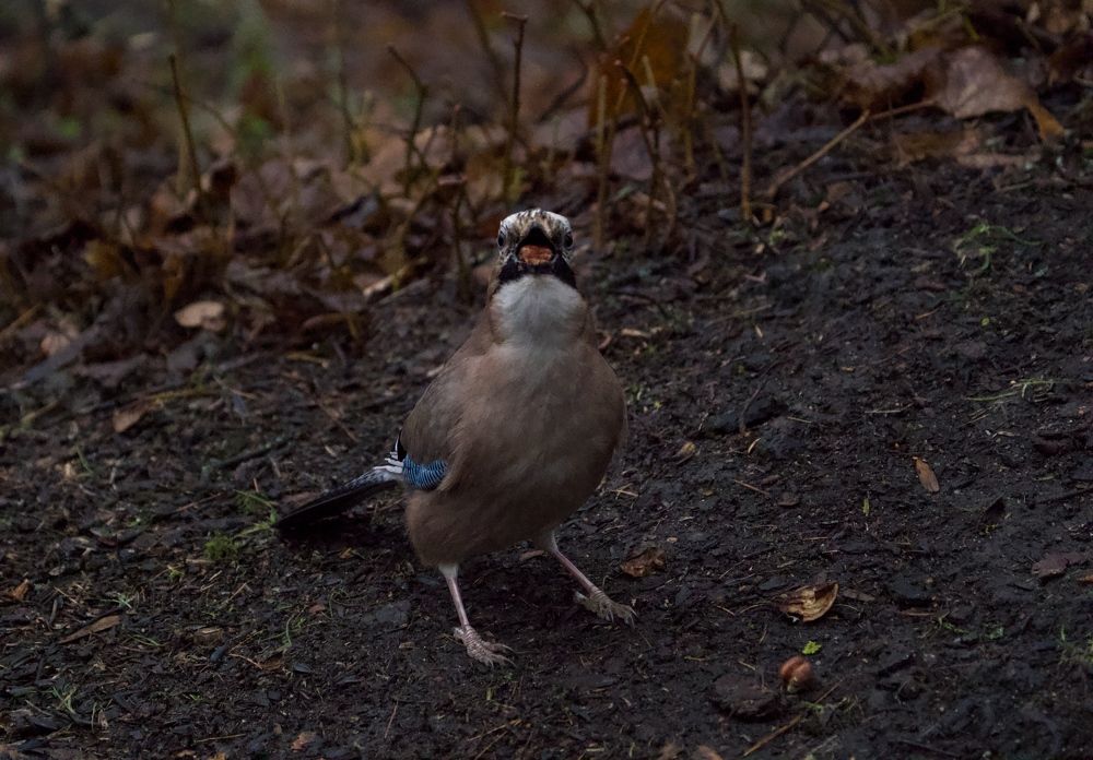 Фотография автора Егор Иванов
