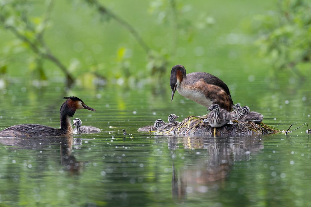 Photograph by Вера Машина