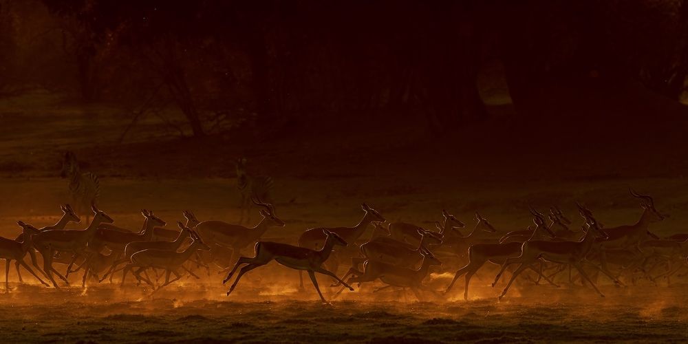 Photograph by Turgay Uzer